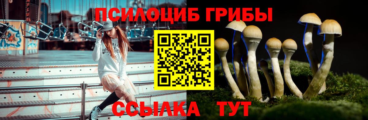 Галлюциногенные грибы мицелий Александров